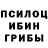 Псилоцибиновые грибы Cubensis Mi dder