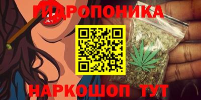 соль ск Кингисепп