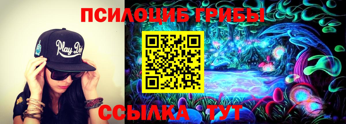 Псилоцибиновые грибы мухоморы Чебоксары