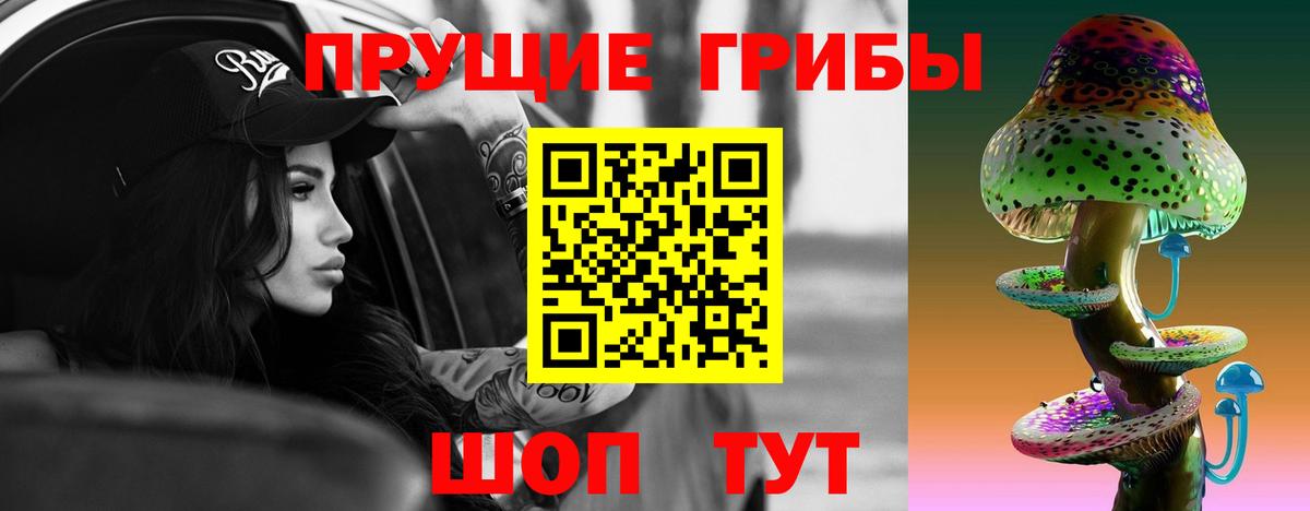 Чебоксары  Псилоцибиновые грибы MAGIC MUSHROOMS  Вход с VPN 